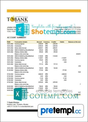 Bhutanese T Bank Statement example in Excel and PDF format