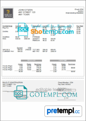 # true market pay stub example in Word and PDF format