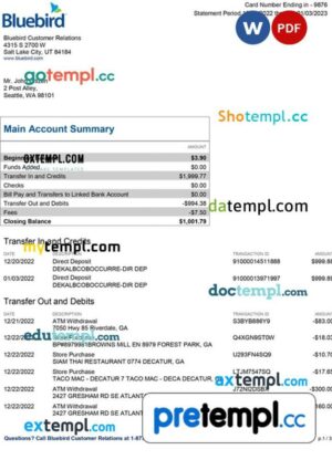 USA Bluebird bank statement 3 - 6 months Word and PDF example, 3 pages