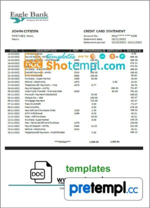 Nauruan Eagle bank statement 3 - 6 months example in Word and PDF format