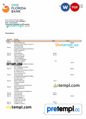 USA One Florida bank statement 3 - 6 months, Word and PDF example
