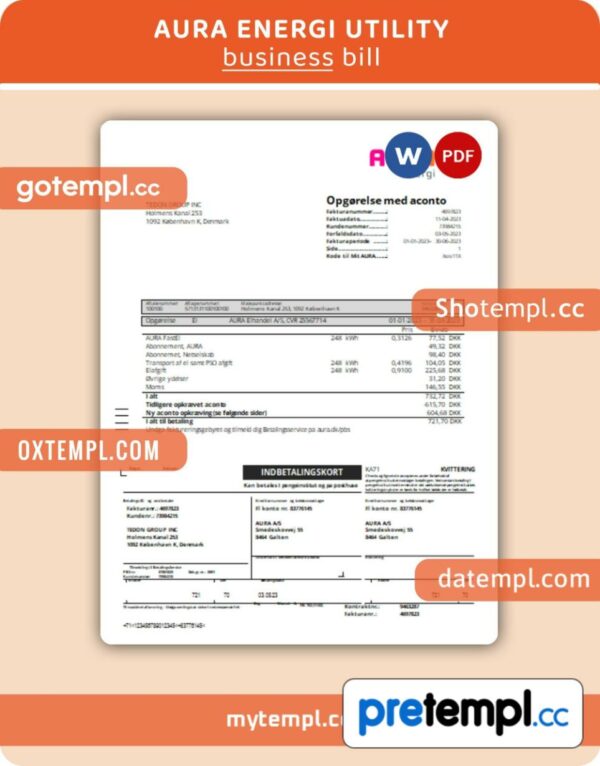 Aura Energi business utility bill, Word and PDF template, 2 pages