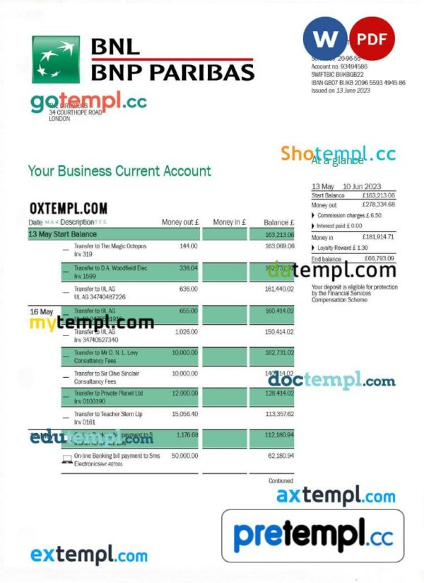 BNL Bank enterprise statement Word and PDF template