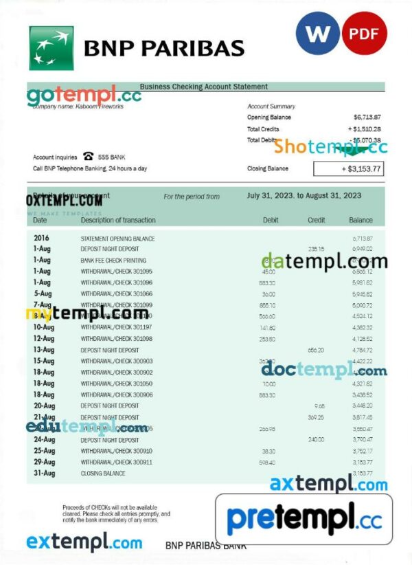 Bank BNP Paribas company statement Word and PDF template