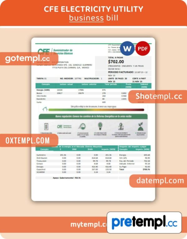 CFE electricity  business utility bill, PDF and WORD template