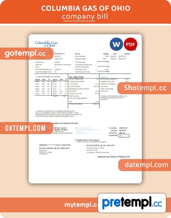 Columbia Gas of Ohio business utility bill, PDF and Word template