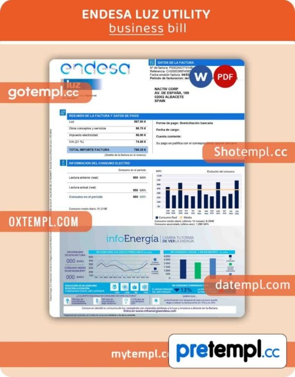 Endesa luz utility business bill, Word and PDF template