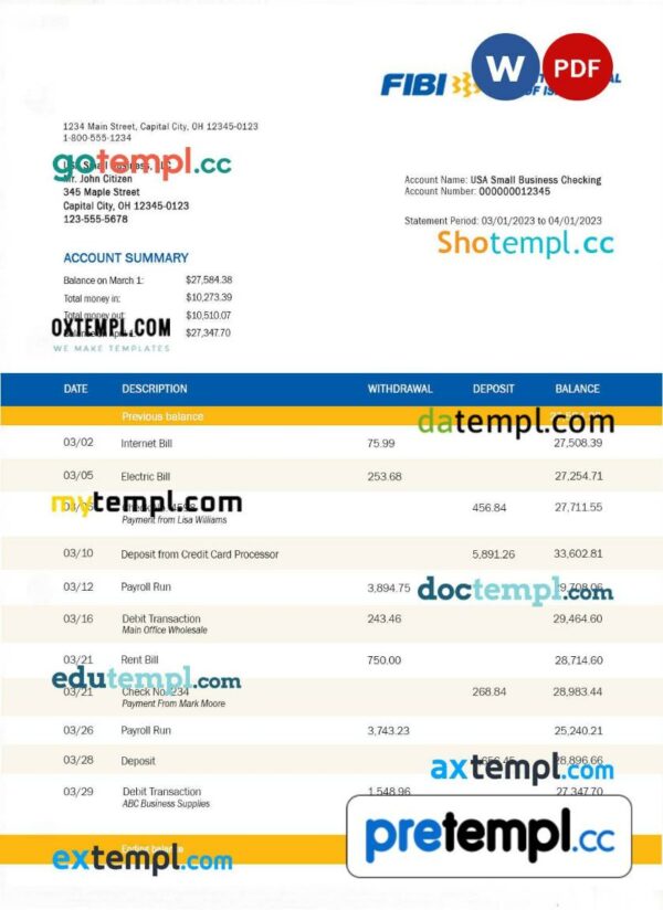 FIBI Bank enterprise account statement Word and PDF template