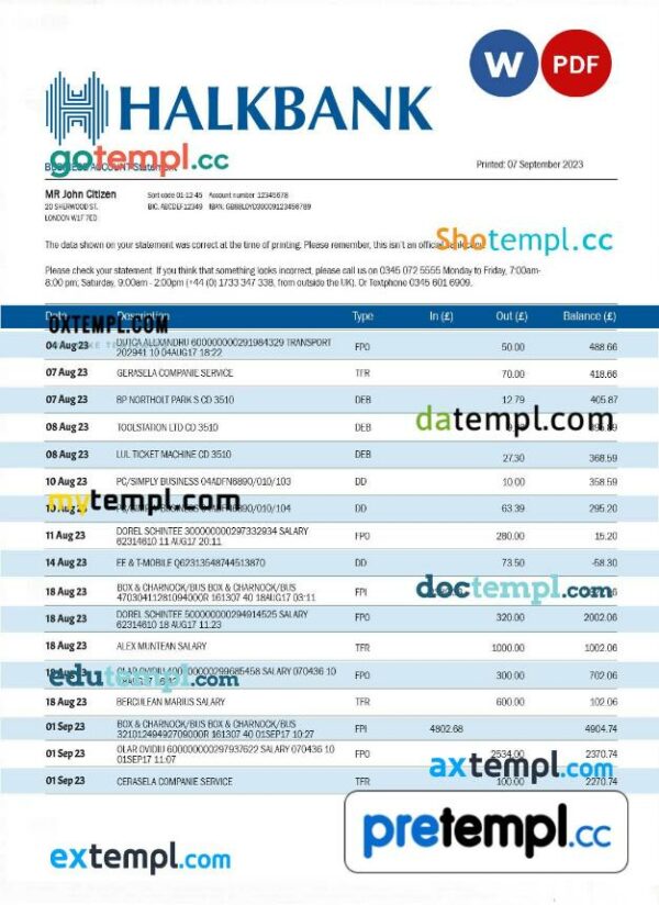 Halkbank business statement Word and PDF template