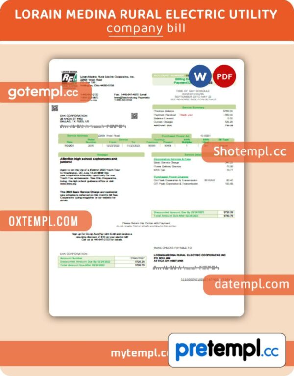 Lorain Medina Rural Electric business utility bill, Word and PDF template