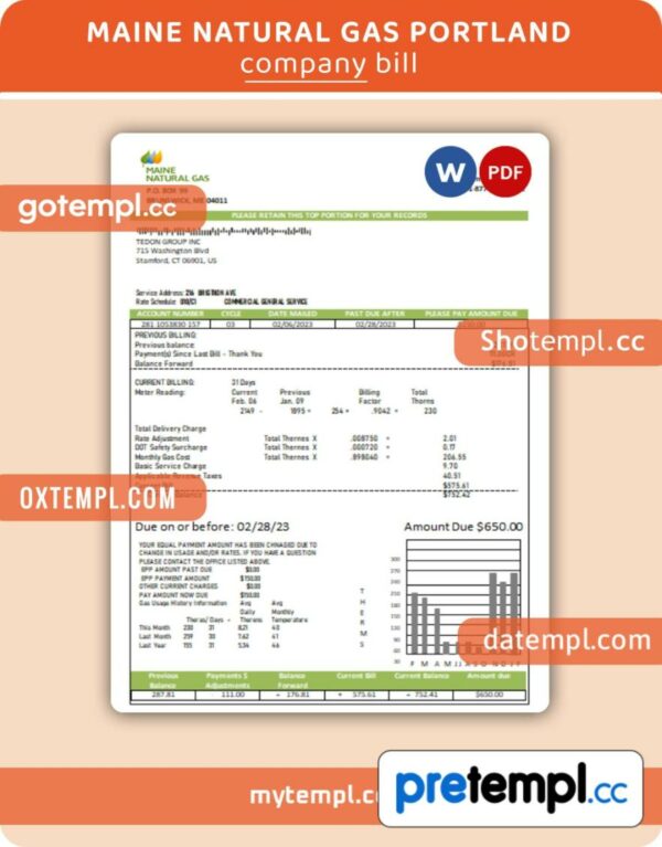Maine Natural Gas Portland business utility bill, Word and PDF template
