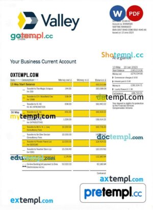 Valley National Bank business statement Word and PDF template