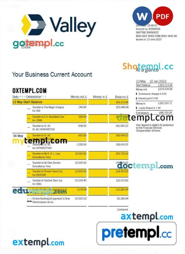 Valley National Bank business statement Word and PDF template