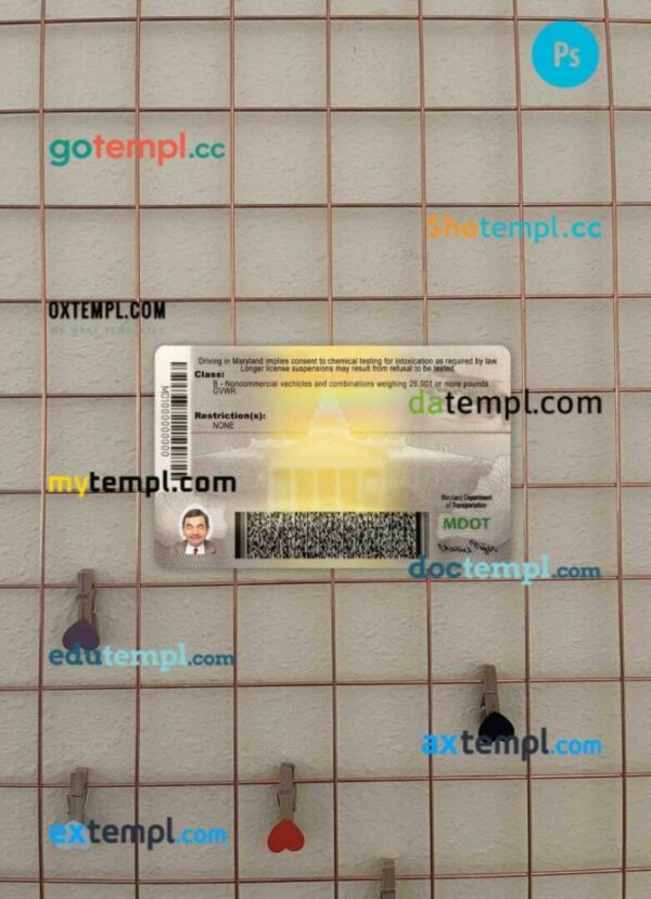 USA Maryland driving license PSD files, scan look and photographed image, 2 in 1 (2016-present) - Image 2