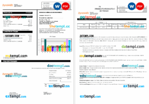 New York Dynowatt electricity utility bill Word and PDF formats, 2 pages