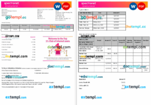 Nigeria Spectranet amazing internet internet utility bill Word and PDF formats, 3 pages