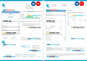 USA FPL electricity utility bill Word and PDF formats, 2 pages, version 2