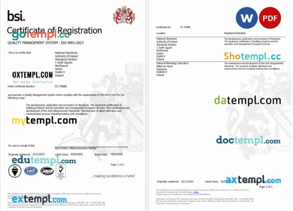 Ireland Dublin BSI certificate of registration Word and PDF template