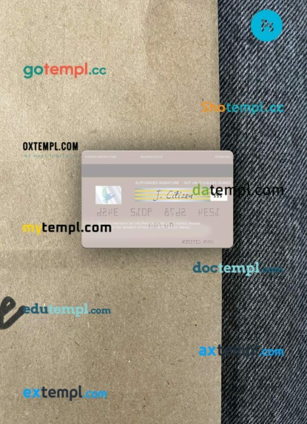 USA Payoneer visa PSD scan and photo-realistic snapshot, 2 in 1 - Image 2