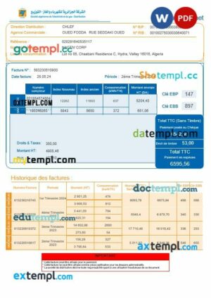 Algeria Societe Algerien Distribution internet business utility bill Word and PDF template