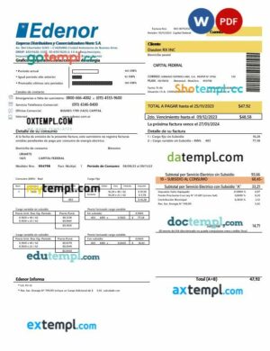 Argentina Edenor easy to fill business utility bill template in Word and PDF format