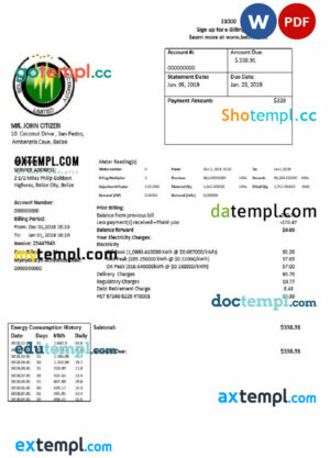 Belize Electricity Limited electricity utility bill template in Word and PDF format