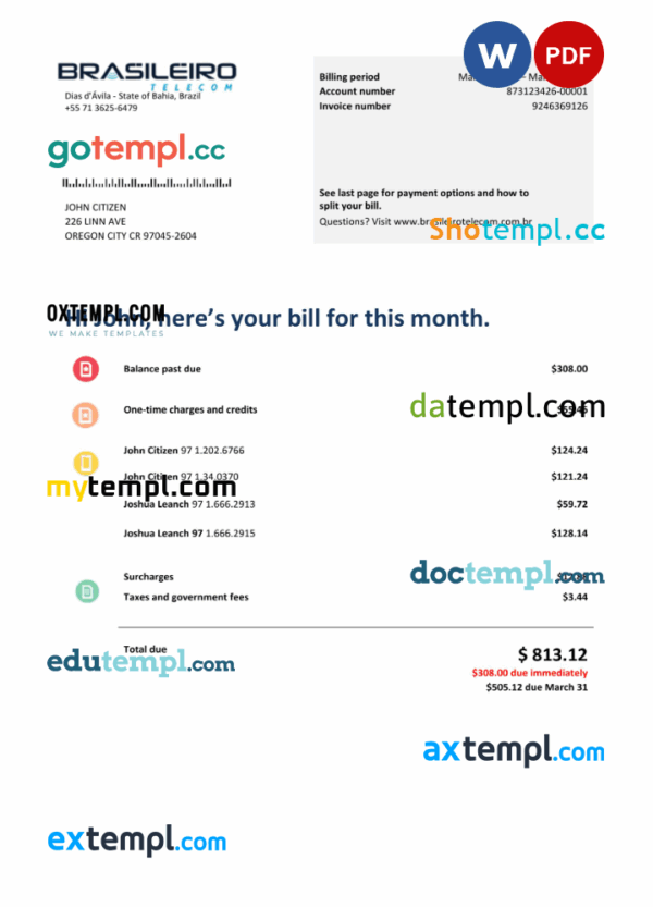Brazilian Brazilianiero Telecom telecommunication bill Word and PDF example