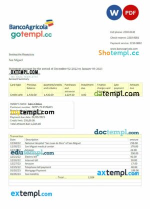 DOMINICAN REPUBLIC BANCO AGRICOLA bank statement 3 - 6 months Word and PDF example