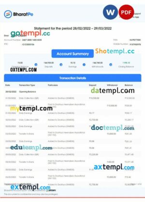 INDIA BHARATPE bank statement 3 - 6 months Word and PDF example