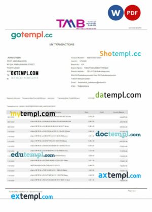 INDIA TAB bank statement 3 - 6 months Word and PDF example