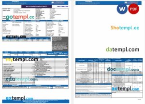 India TPWODL utility bill Word and PDF template, 2 pages