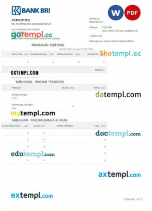 INDONESIA BANK BRI statement Word and PDF example