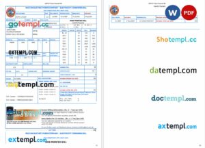 Pakistan Multan Electric Power utility bill Word and PDF template, version 2, 2 pages