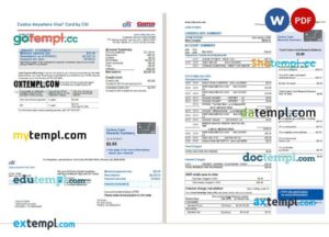 USA Citi bank card statement Word and PDF example, 2 pages