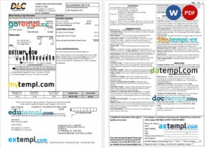 USA DLC utility bill download Word and PDF example, 4 pages