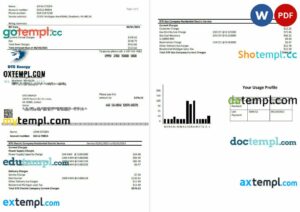 USA DTE Energy utility bill template in Word and PDF format (2 pages)
