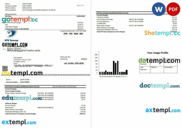 USA DTE Energy utility bill template in Word and PDF format (2 pages)