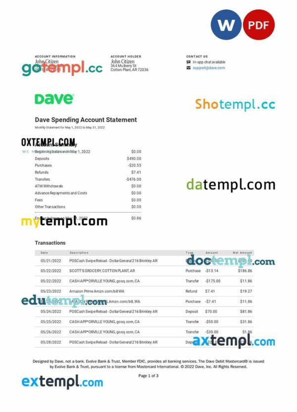 USA DAVE bank statement 3 - 6 months Word and PDF example, version 2