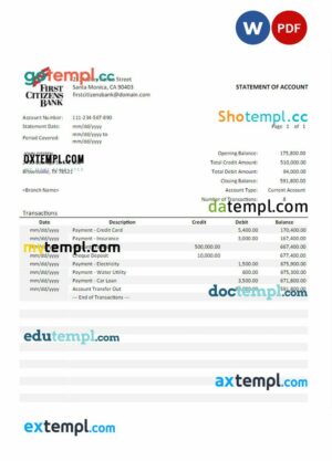 USA First Citizens bank statement 3 - 6 months Word and PDF example