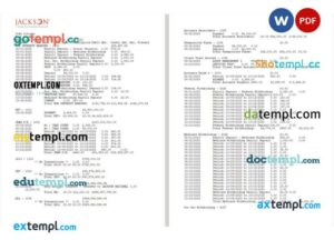 USA Jackson National bank statement 3 - 6 months Word and PDF example, 2 pages