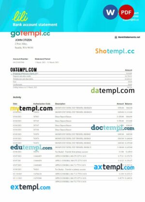 USA Lili bank statement Word and PDF example, 3 pages