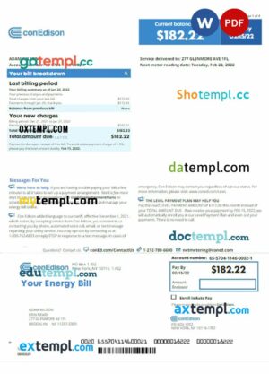 USA New York Conedison utility bill download Word and PDF example, version 2