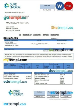 USA North Carolina Duke Energy utility bill template in Word and PDF format