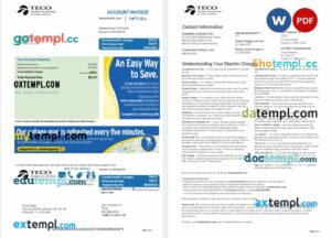 USA TECO utility bill download Word and PDF example