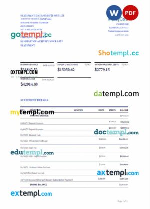 USA WALMART MONEY CARD statement Word and PDF example, version 2