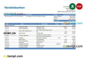 Norwegian Handelsbank statement 3 - 6 months Excel and PDF example
