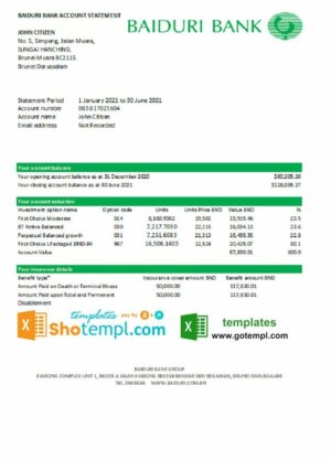 Brunei Baiduri bank statement easy to fill template in Excel and PDF format (AutoSum)