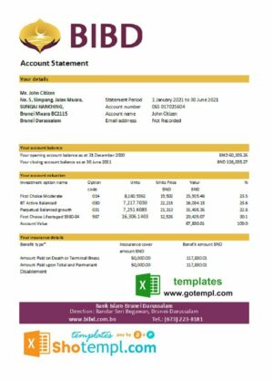 Brunei Bank Islam Brunei Darussalam bank statement easy to fill template in Excel and PDF format (AutoSum)