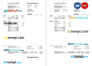 USA Florida Momentum Solar LLC paystub Word and PDF template, 3 pages