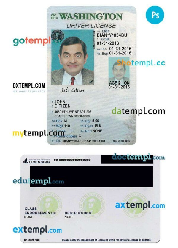 USA Washington state vertical driving license editable PSD template, under 21